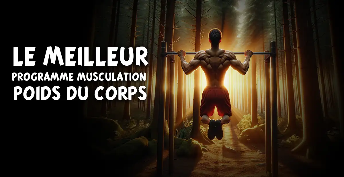 Musculation Au Poids Du Corps Les Meilleurs Conseils Et Exercices